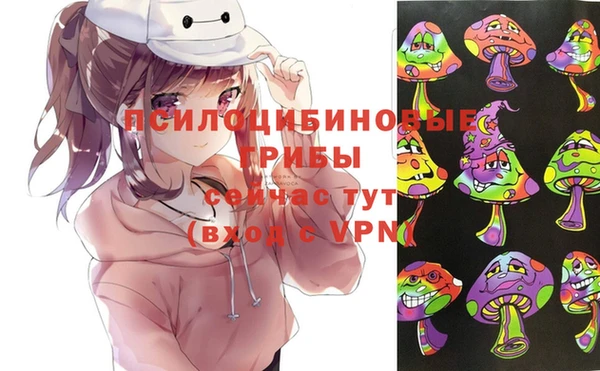 ешки Карпинск