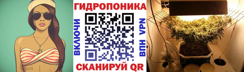 Купить где  Октябрьский  Бошки марихуана AK-47